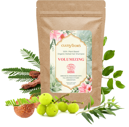 Organic Herbal Powder Shampoo